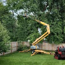 Best Lawn Dethatching Services  in USA